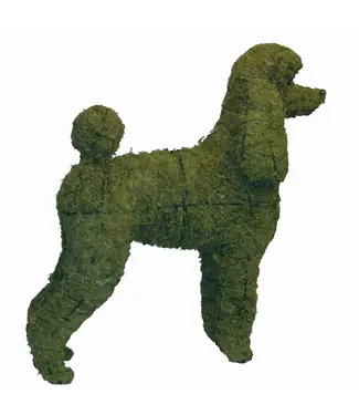 Mossed Poodle 32 1/2"