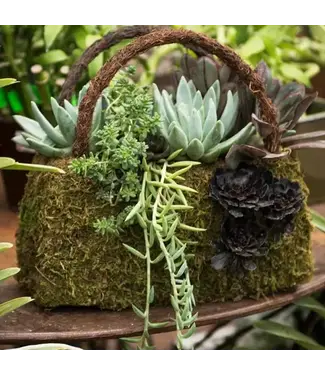 Beaumont Wicker Purse with Wicker Handles  Set of 3