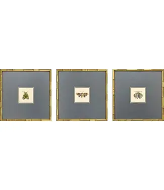 Pastel Moths Wood Green Framed Wall Art SINGLE