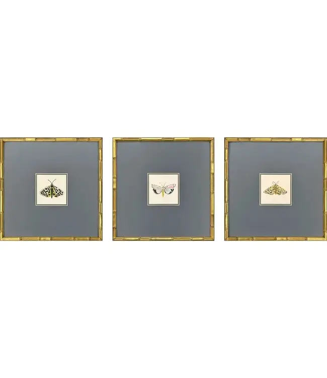 Pastel Moths Wood Green Framed Wall Art SINGLE