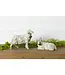 Sheep with Bell Collars Set of 2