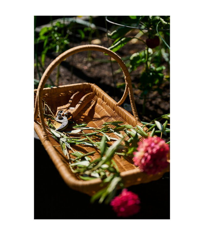 Aluminum & Stainless Steel Gardening Pruning Shears