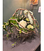Artisan Made Vineman Wisteria Basket