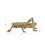 Decorative Gold Metal Grasshopper