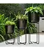 Metal Etched Stand Planter - Large