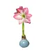 Sugar Blue Waxed Amaryllis with Cherry Blossom Flower