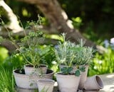  Are you ready to elevate your space this spring?