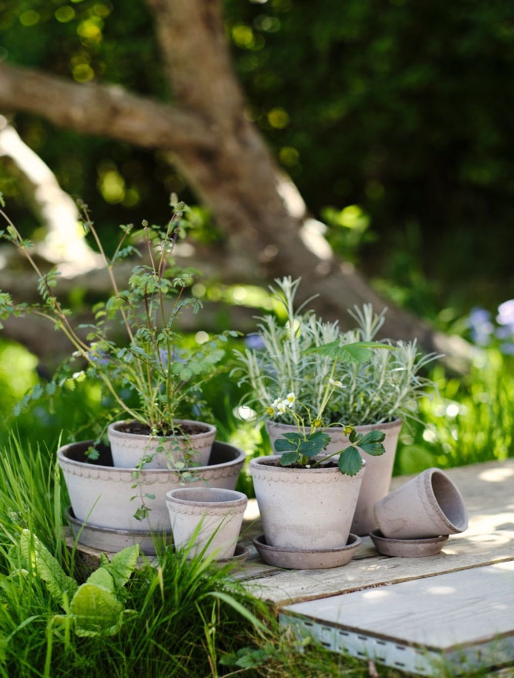  Are you ready to elevate your space this spring?