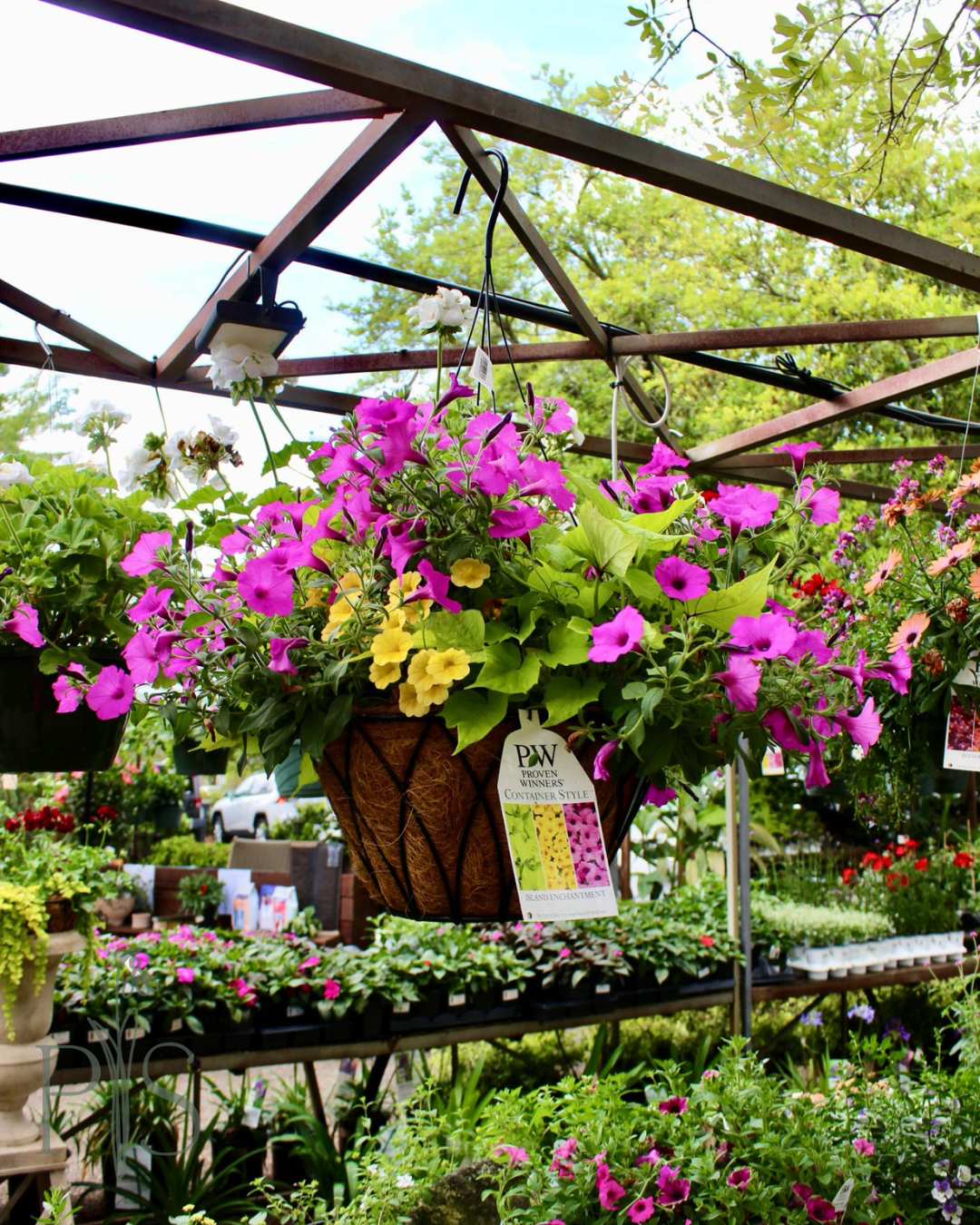 The Plant Shoppe HB Premium Mixed Hanging Coco Basket 14