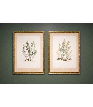 Artisan - Orginal Vaughan P Spanjer Artwork: Botanicals #1