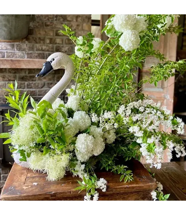The Plant Shoppe Swan Container