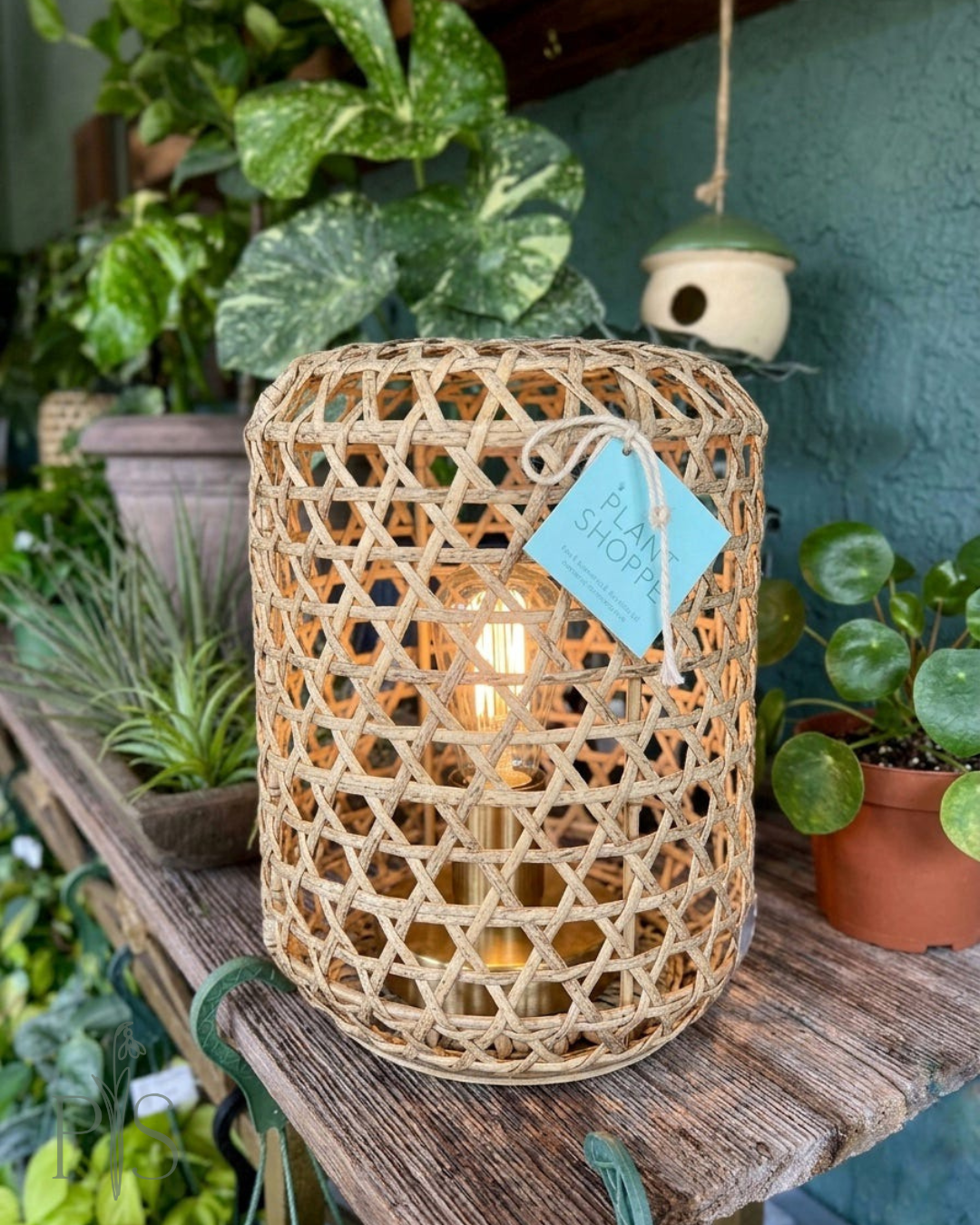 Refresh your outdoor space for the season