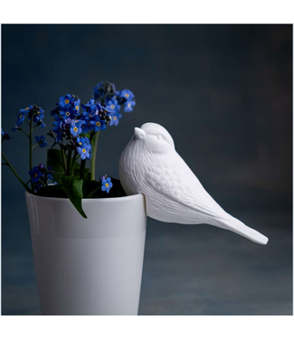 BLAUMEISE Bird Ornament