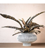 ARTA lines vase