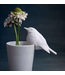 ROTKEHLCHEN Bird Ornament
