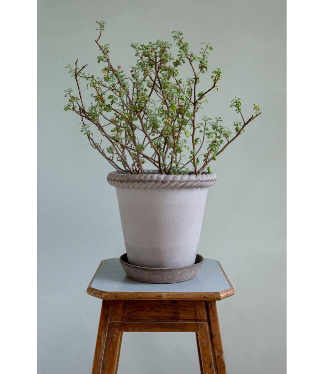 Berg Emilia RAW Grey Set 30cm (11"H)