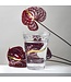 Berg Kobenhavner GLASS Clear 11cm Vase (7.3'H)
