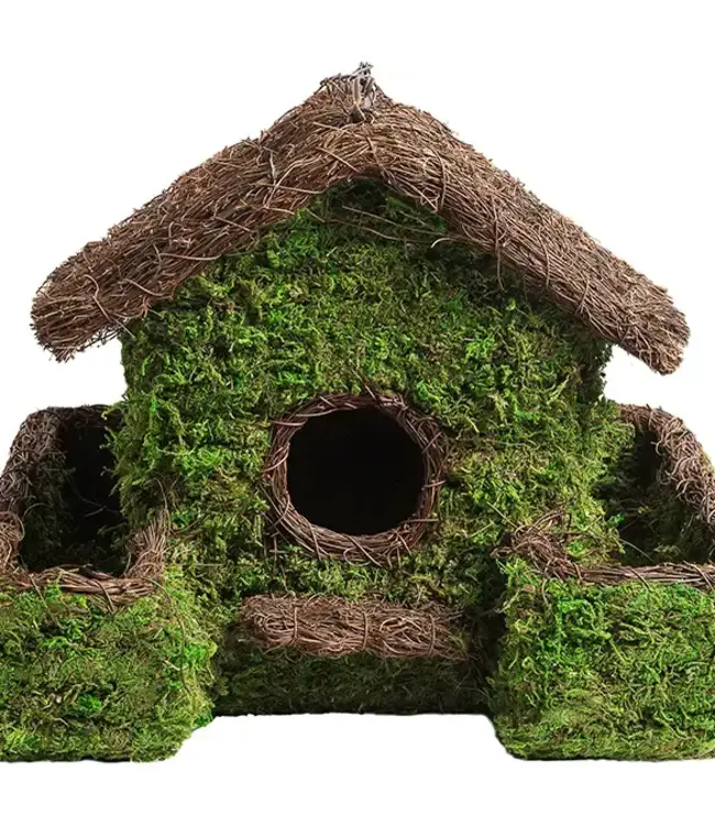 Plantable Maison Patio Birdhouse
