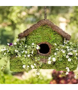 Plantable Maison Patio Birdhouse