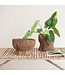 The Plant Shoppe Found Carved Wood Mortar Bowl