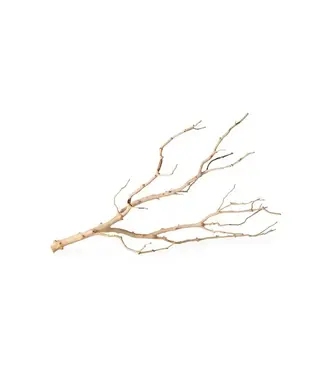 Manzanita Branch