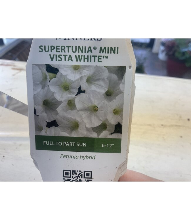 Proven Winner Petunia Mini Vista  Asst 1qt  PW