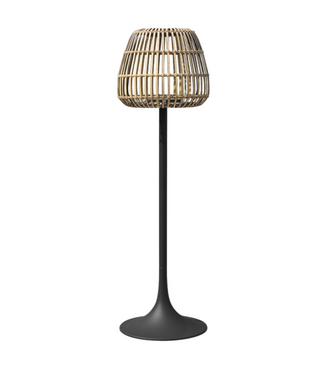 Stella Floor Lamp - Black Aluminum / Nature Wicker