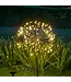 Solar Dandelion Lights 120 LED