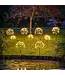 Solar Dandelion Lights 120 LED