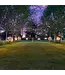 Solar Dandelion Lights 96 LED