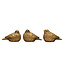 Resin Bird, Distressed Gold Finish, 3 Styles 3-1/2"H
