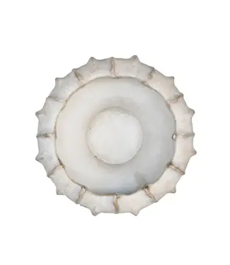 Concrete Shallow Lucid Planter Medium