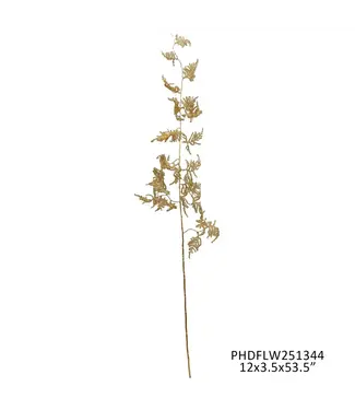 Gilded Plumosa Stem