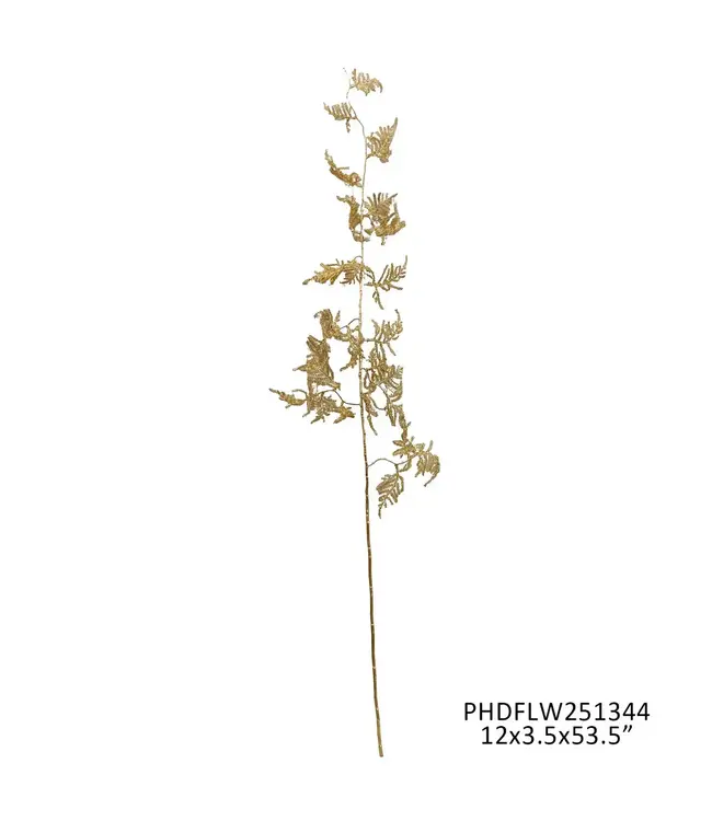 Gilded Plumosa Stem