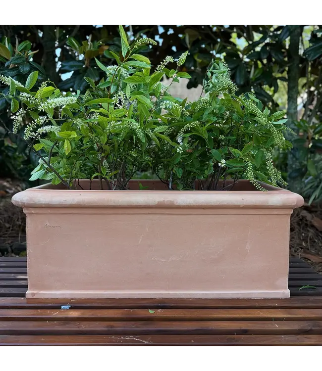 Classic Trough 13x31x15"