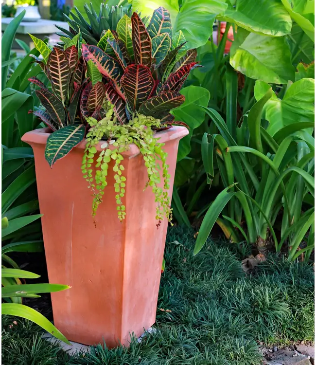 Aria Tapered Square~24.5"H x 14"W Italian Classic Terra Cotta