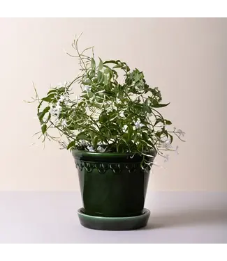 Berg Kobenhavner Glazed Green Set 16cm