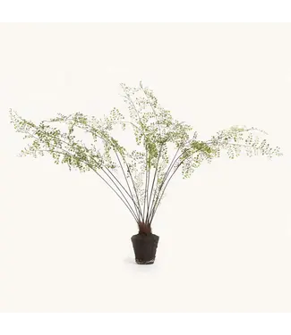 Maidenhair Drop-in 44"
