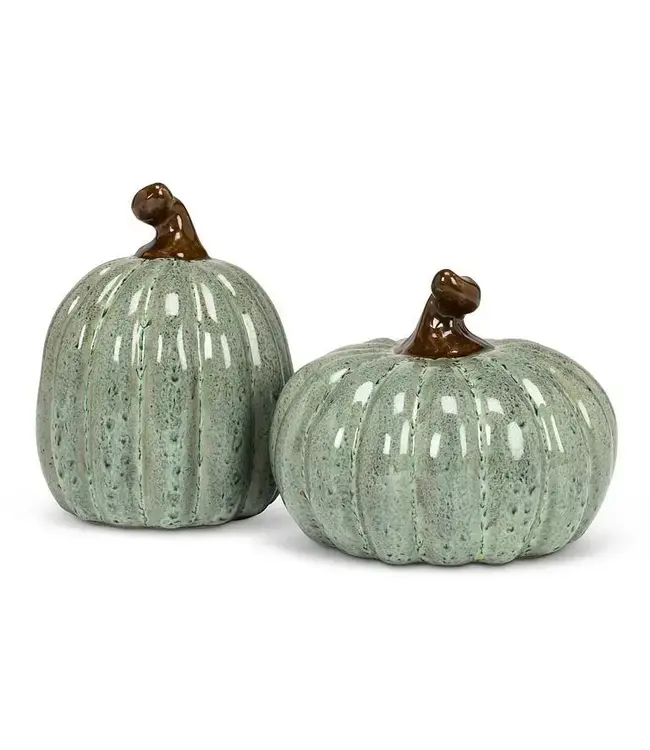 Sage Pumpkin, Tall