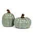 Sage Pumpkin Small