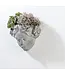 Woman Face Wall Planter-8"H