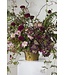 Accent Decor Winter Forest Planter