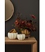 Spiced Pumpkin Pot Small, Cream