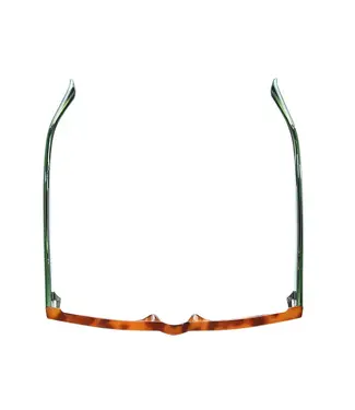 Ollie | Amber Tortoise / Green | Blue Light 1.75