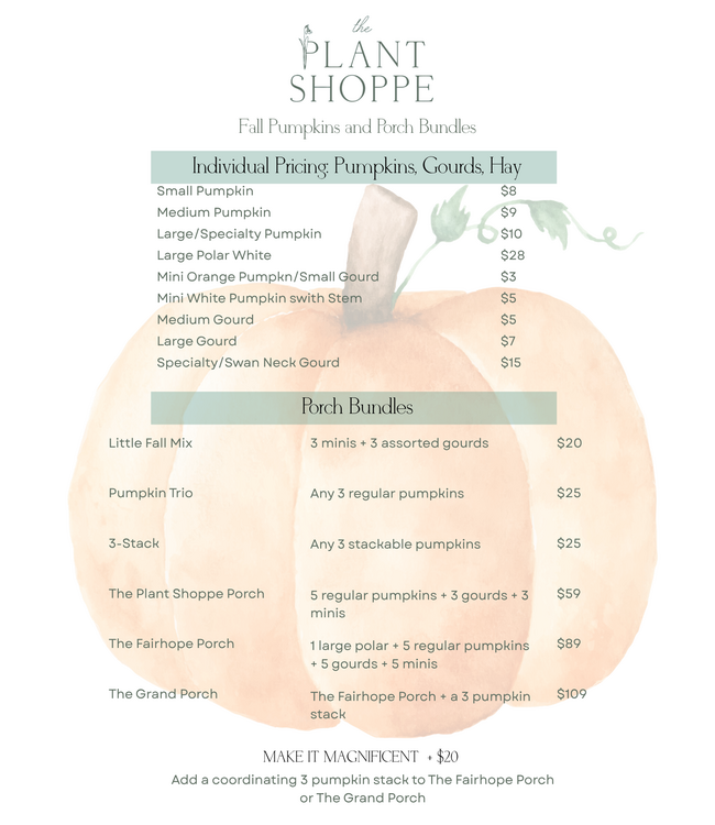 Fall Pumpkins and Porch Bundles