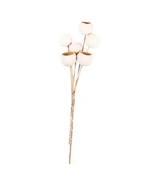 Bell Cup On Stem Bleached (bundle of 6)