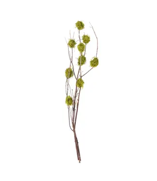 Mountain Laurel branch with Moss 48in