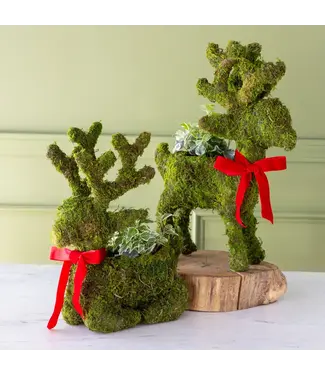 Moss Reindeer Planter Standing