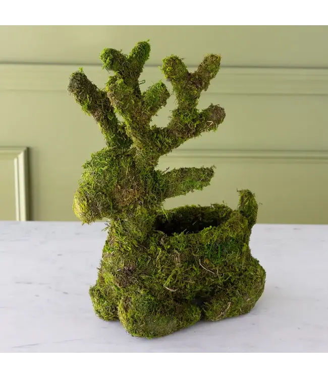 Moss Reindeer Planter Sitting