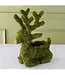 Moss Reindeer Planter Sitting